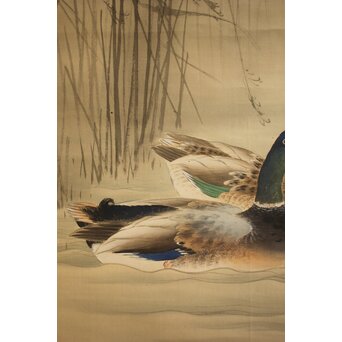 荒木十畝 葦鴨図 絹本掛軸　Z1002 