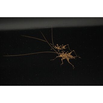 前大峰 秋草虫沈金 輪島塗冠台　Q421 