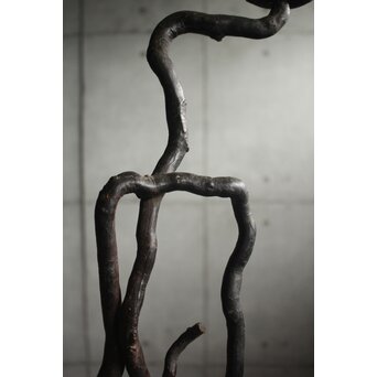 自然木燭台と猫足台　X655 