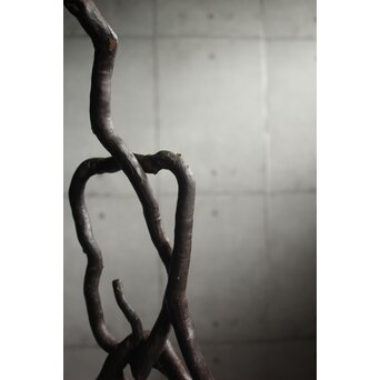 自然木燭台と猫足台　X655 