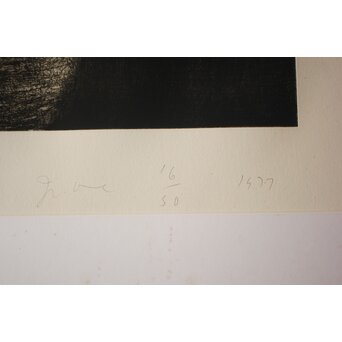 Jim Dine Black and White Flowers リトグラフ　Z1019 