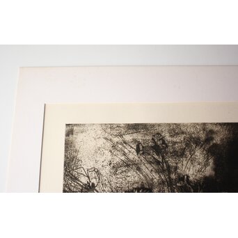 Jim Dine Black and White Flowers リトグラフ　Z1019 