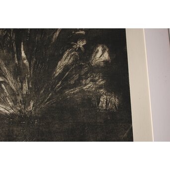 Jim Dine Black and White Flowers リトグラフ　Z1019 