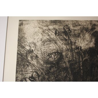 Jim Dine Black and White Flowers リトグラフ　Z1019 