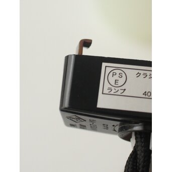 輪花型 オパールセントガラス 竜田川 電笠　A0589 