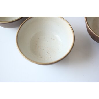 温故焼 河野忠治/大雅作 春穐得意 梅菊文 煎茶セット　P676 