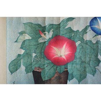 犬塚苔翠(たいすい) 「朝顔」酒井川口合版　Z1030 