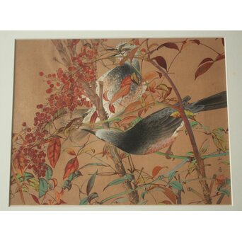 土屋楽山 木版画「照り葉南天に鵯(冬)」Z1051 