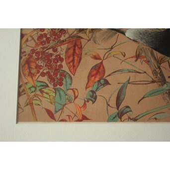 土屋楽山 木版画「照り葉南天に鵯(冬)」Z1051 