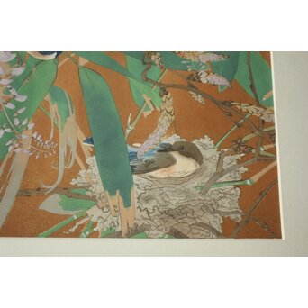 土屋楽山 木版画「紫藤靑笹に巣乃小瑠璃(晩春)」Z1053 
